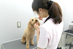 トリミングイメージ