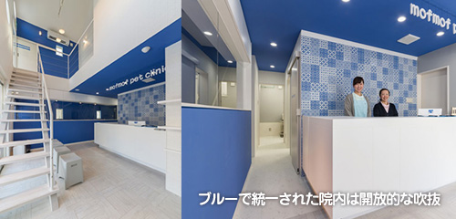 ブルーで統一された院内は開放的な吹抜