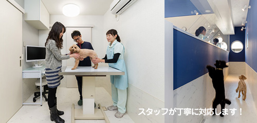 スタッフが丁寧に対応します！